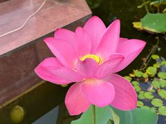 -老铁家泡馍馆(景龙池店)