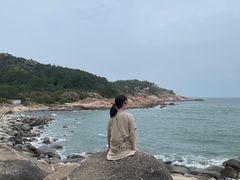 -广东惠东海龟国家级自然保护区