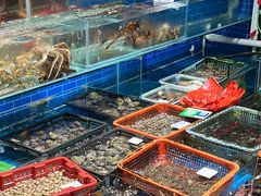 水产区-船奇蒸汽海鲜·闽菜(八市海鲜总店)