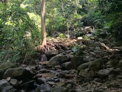 -火炉山森林公园