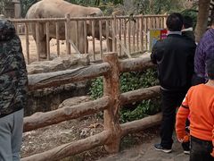 -南昌动物园