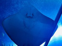 -珠海长隆海洋王国