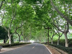 -宜兴龙背山森林公园