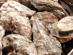 -汉森熊啤酒屋(双塘东路店)