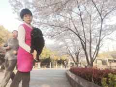 -玉山公园