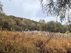 -玉渡山自然风景区