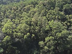 -观澜湖旅游度假区