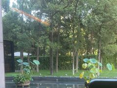 -曲水兰亭(北京四惠店)