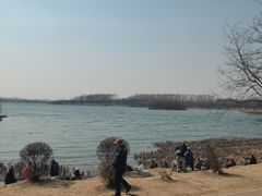 -丁香湖公园