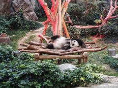 -香港海洋公园