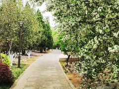 -元大都城垣遗址公园