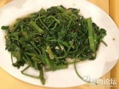 -真浪花园海鲜餐馆