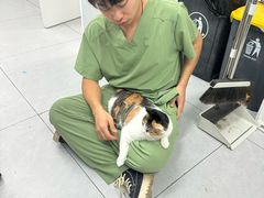-达爱动物医院·犬猫分区·CT·复杂眼科(远洋山水分院)