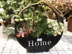 -循礼门鲜花花市(武汉循礼门店)