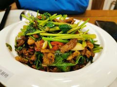 -老回回饺子馆(海洋馆店)