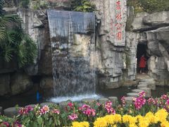 -广州市流溪河国家森林公园
