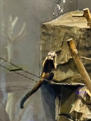 -未来动物城动物主题公园(大悦城店)