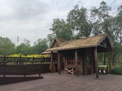 -西青郊野公园