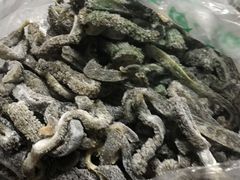 -洪记白水羊头(天坛店)