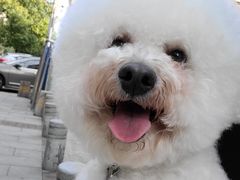 -书亦烧仙草(印象汇都市店)