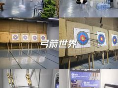 -蓝天射箭馆·专业射箭运动(诚丰广场店)