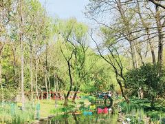 -上海共青森林公园