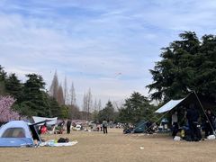 -上海滨江森林公园