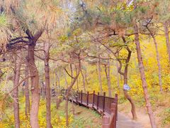 -北京十三陵国家森林公园蟒山景区