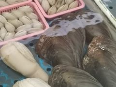 -大湾区中央湿地公园-十九涌