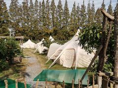 -前小桔亲子创意农场·草莓采摘·露营烧烤