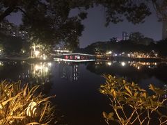 -荔湾湖公园