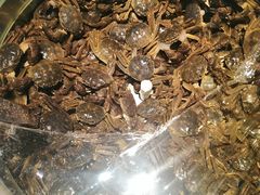 -欢乐牧场海鲜烤肉自助(牡丹园店)