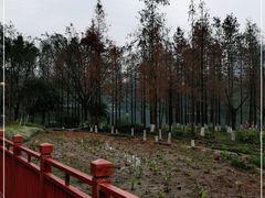 -重庆彩云湖湿地公园