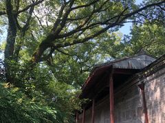 -天一阁博物院