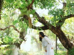 -Chom Cafe and Restaurant