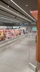 -THE COLORIST调色师