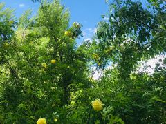 -长春公园(普阳街道)