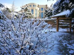 -大连市游泳馆-地面停车场