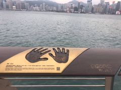 -星光大道