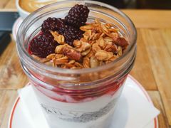 -Elephant Grounds(STARSTREET)