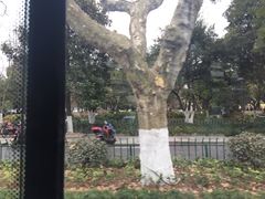 -西湖游船