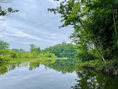 -桤木河湿地公园
