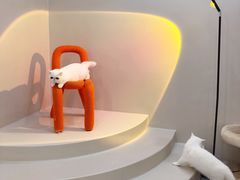 -More Fun猫咖 二十只万元加菲主题