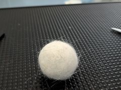 -爱洗澡的猫(望京店)