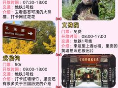 -成都大熊猫繁育研究基地