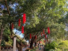 -广州市流溪河国家森林公园