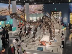 -国家自然博物馆