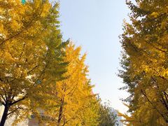 -阿婆油墩子(五里桥路188弄小区店)