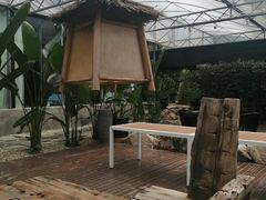 -桉树林A coffee 森林餐厅(三圣乡店)