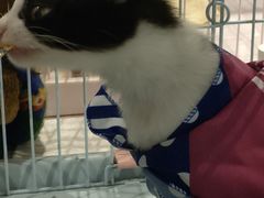 -远洋未来广场(育慧北路店)